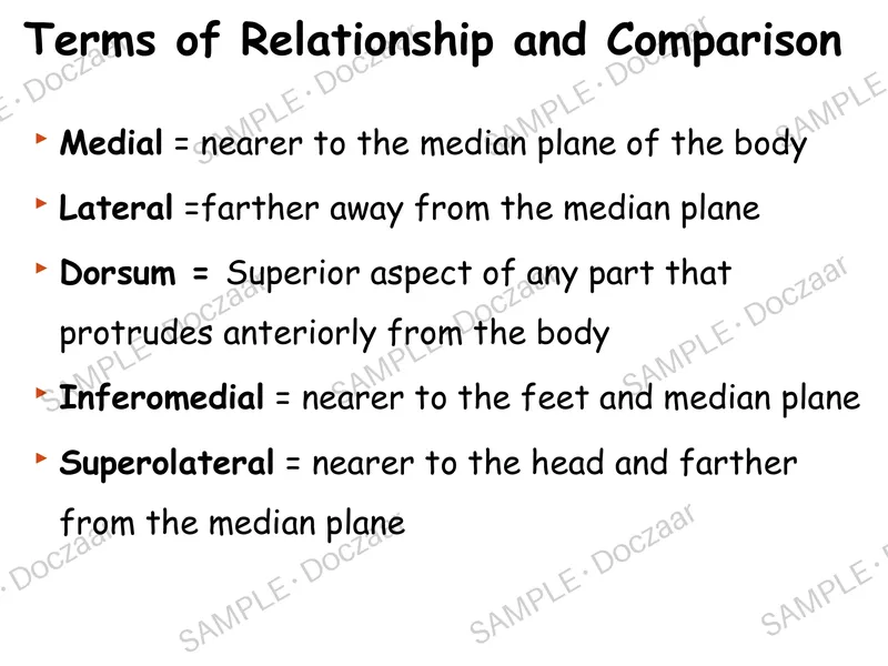 Preview page 17 of Introduction to Anatomy