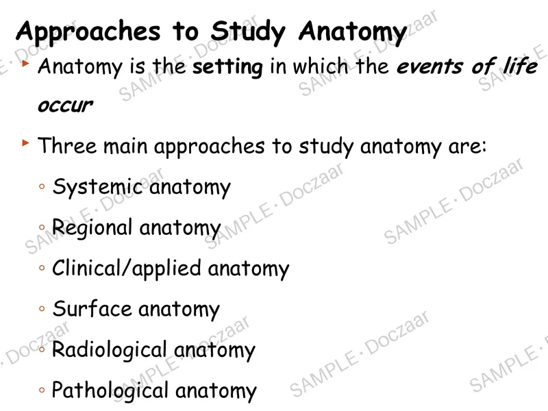 Preview page 5 of Introduction to Anatomy