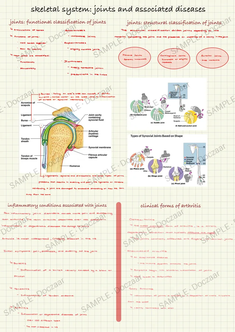 Preview page 53 of Anatomy & Physiology