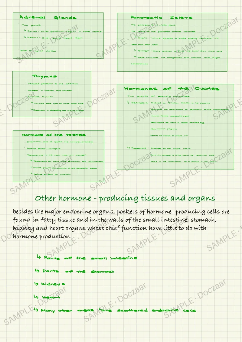Preview page 66 of Anatomy & Physiology