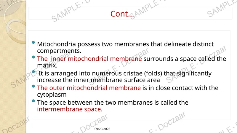 Preview page 101 of Cell Biology Lecture note