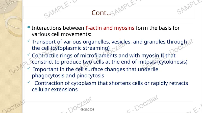 Preview page 116 of Cell Biology Lecture note