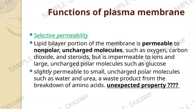 Preview page 33 of Cell Biology Lecture note