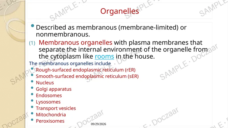 Preview page 51 of Cell Biology Lecture note