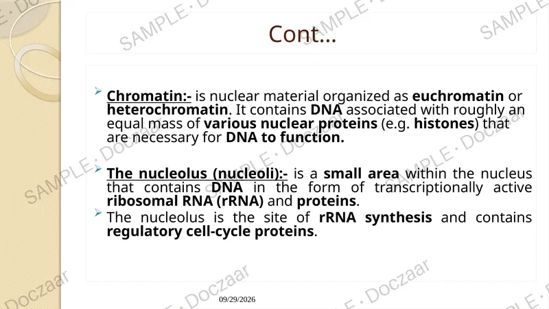 Preview page 56 of Cell Biology Lecture note